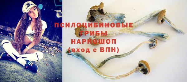 apvp Алексеевка