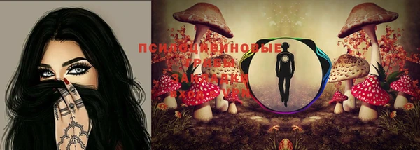 apvp Алексеевка